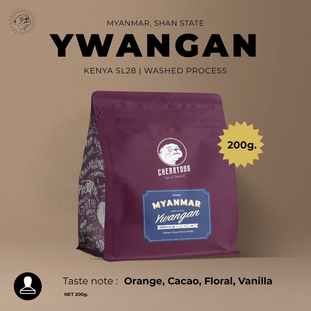 เมล็ดกาแฟคั่ว Myanmar Ywangan Washed